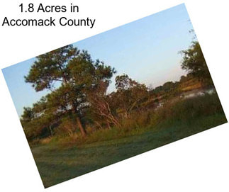 1.8 Acres in Accomack County