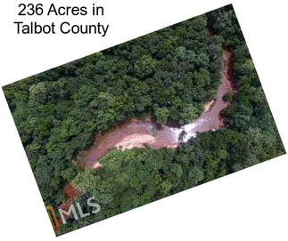 236 Acres in Talbot County