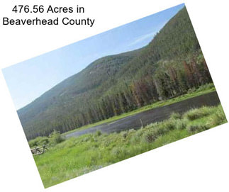 476.56 Acres in Beaverhead County