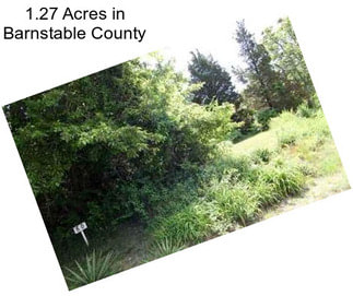 1.27 Acres in Barnstable County