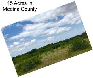 15 Acres in Medina County