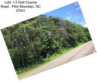 Lots 1-2 Golf Course Road , Pilot Mountain, NC 27041