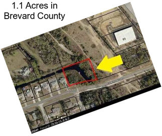 1.1 Acres in Brevard County