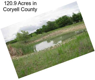 120.9 Acres in Coryell County