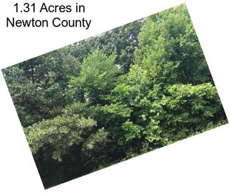 1.31 Acres in Newton County