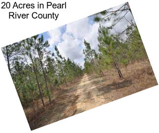 20 Acres in Pearl River County