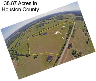 38.87 Acres in Houston County