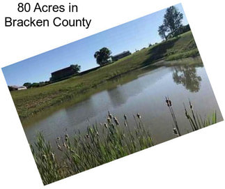 80 Acres in Bracken County