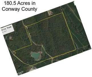 180.5 Acres in Conway County