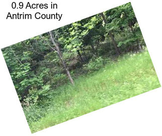 0.9 Acres in Antrim County