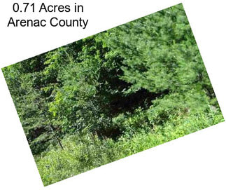 0.71 Acres in Arenac County