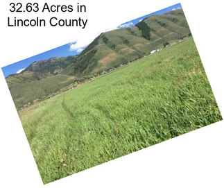 32.63 Acres in Lincoln County