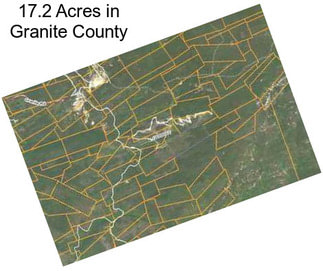 17.2 Acres in Granite County