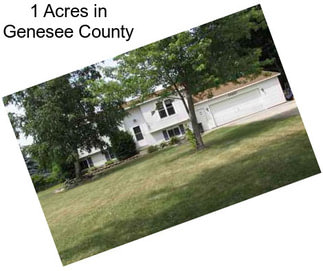 1 Acres in Genesee County