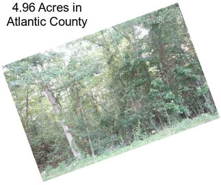 4.96 Acres in Atlantic County