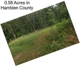 0.58 Acres in Hamblen County