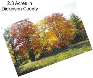 2.3 Acres in Dickinson County