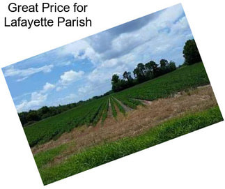 Great Price for Lafayette Parish