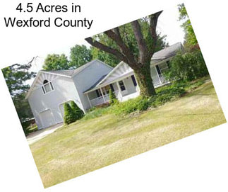 4.5 Acres in Wexford County
