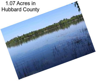 1.07 Acres in Hubbard County