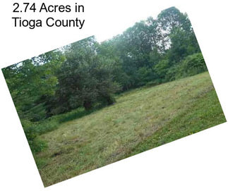 2.74 Acres in Tioga County