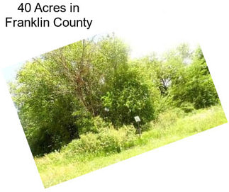 40 Acres in Franklin County