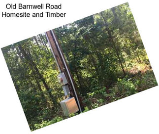 Old Barnwell Road Homesite and Timber