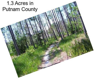 1.3 Acres in Putnam County