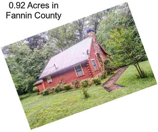 0.92 Acres in Fannin County