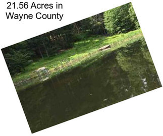 21.56 Acres in Wayne County