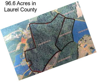 96.6 Acres in Laurel County