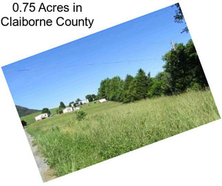 0.75 Acres in Claiborne County