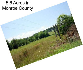 5.6 Acres in Monroe County