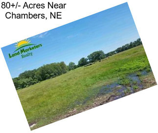 80+/- Acres Near Chambers, NE