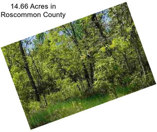 14.66 Acres in Roscommon County