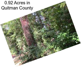0.92 Acres in Quitman County
