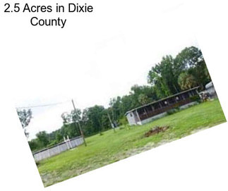 2.5 Acres in Dixie County