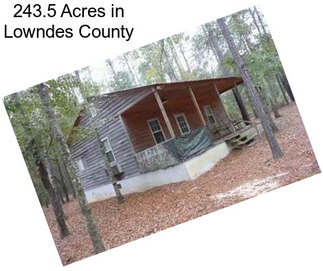 243.5 Acres in Lowndes County