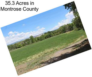 35.3 Acres in Montrose County