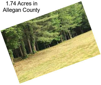 1.74 Acres in Allegan County