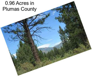 0.96 Acres in Plumas County