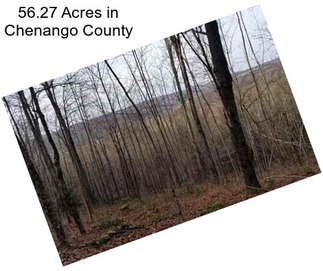 56.27 Acres in Chenango County