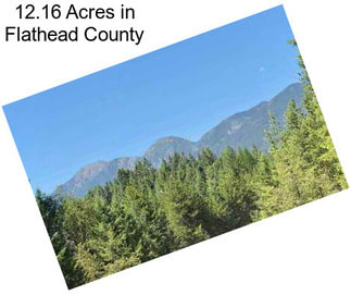 12.16 Acres in Flathead County
