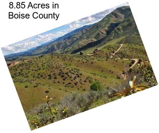 8.85 Acres in Boise County