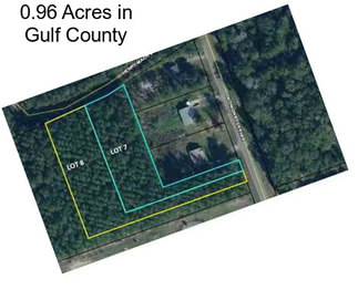 0.96 Acres in Gulf County