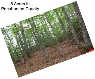 5 Acres in Pocahontas County