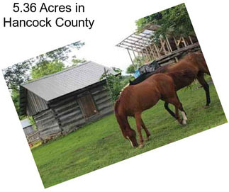5.36 Acres in Hancock County