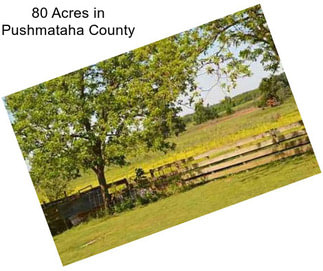 80 Acres in Pushmataha County