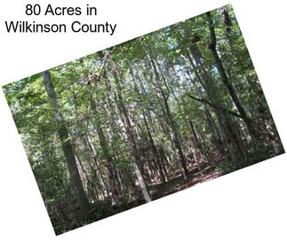 80 Acres in Wilkinson County