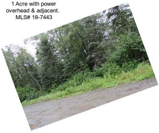 1 Acre with power overhead & adjacent.  MLS# 18-7443